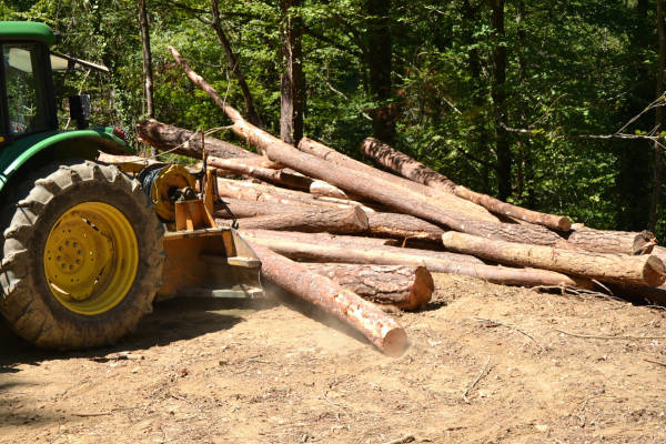 Gestionamos todo el ciclo de actividad forestal